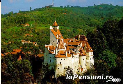 Pensiunea Cristina - cazare Rucar - Bran, Rasnov (Activitati si imprejurimi)