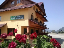 Rural accommodation at  Pensiunea Sticletii Bucovinei