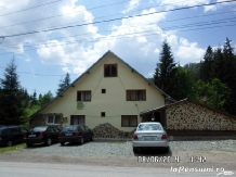 Rural accommodation at  Pensiunea Poarta Ariesului