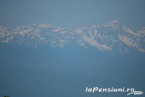 Templars Inn - cazare Fagaras, Sambata (Activitati si imprejurimi)