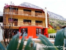 Pensiunea Jojo - accommodation in  Cernei Valley, Herculane (03)