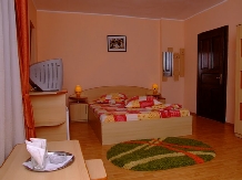 Pensiunea Magic - accommodation in  Cernei Valley, Herculane (18)