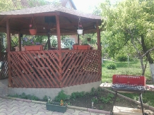 Casa Viorica - accommodation in  Danube Delta (02)