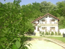 Pensiunea Casa Natura - accommodation in  Cernei Valley, Herculane (41)