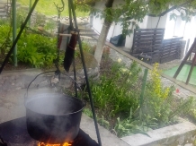 Pensiunea Casa Natura - alloggio in  Valea Cernei, Herculane (71)