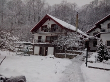 Pensiunea Casa Natura - cazare Valea Cernei, Herculane (80)