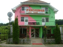 Pensiune Vidra - accommodation in  Baile Felix (02)