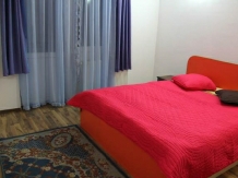 Pensiune Vidra - accommodation in  Baile Felix (15)