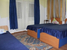 Pensiune Vidra - accommodation in  Baile Felix (16)