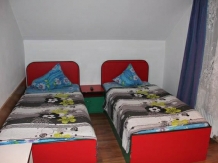 Pensiune Vidra - accommodation in  Baile Felix (19)