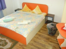 Pensiune Vidra - accommodation in  Baile Felix (20)