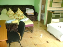 Pensiune Vidra - accommodation in  Baile Felix (26)
