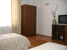 Pensiunea Vila Veche - accommodation in  Hateg Country (09)