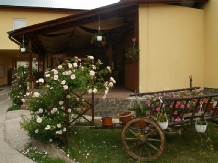 Pensiunea Vila Veche - accommodation in  Hateg Country (17)