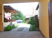 Pensiunea Vila Veche - accommodation in  Hateg Country (22)