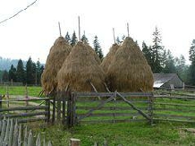 Casa din Deal - alloggio in  Bucovina (13)