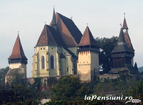 Pensiunea La Bibicu - alloggio in Transilvania (Attività e i dintorni) Pensiunea La Bibicu - alloggio in Transilvania (Attività e i dintorni)