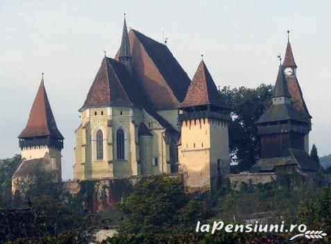 Pensiunea La Bibicu - cazare Transilvania (Activitati si imprejurimi)