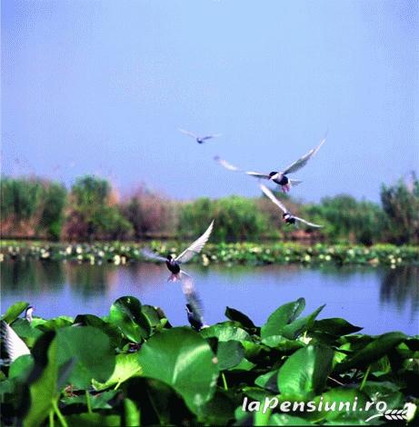 Pensiunea Castalia - accommodation in  Danube Delta (Surrounding)