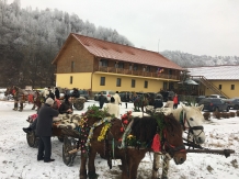 Pensiunea Cosau - accommodation in  Maramures Country (46)