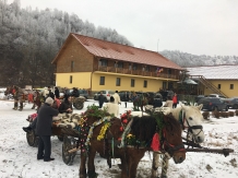 Pensiunea Cosau - alloggio in  Tara Maramuresului (46)