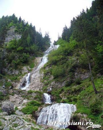 Pensiunea Mia - alloggio in Tara Maramuresului (Attività e i dintorni) Pensiunea Mia - alloggio in Tara Maramuresului (Attività e i dintorni)