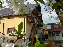 Pensiunea Stefanut - cazare Apuseni, Belis (03)