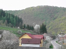 Pensiunea Stefanut - accommodation in  Apuseni Mountains, Belis (10)
