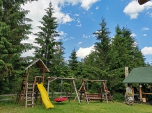 Cabana Valeria - accommodation in  Apuseni Mountains, Belis (79)