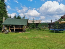 Cabana Valeria - accommodation in  Apuseni Mountains, Belis (80)