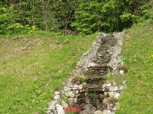 Pensiunea Serena - alloggio in  Transilvania (04)