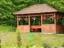 Pensiunea Serena - alloggio in  Transilvania (06)