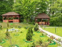 Pensiunea Serena - alloggio in  Transilvania (07)