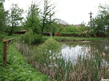 Pensiunea Serena - alloggio in  Transilvania (12)