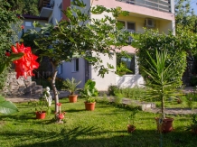 Vila Ana Serena - accommodation in  Danube Boilers and Gorge, Clisura Dunarii (03)