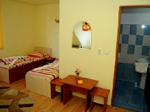 Pensiunea DiaDis - accommodation in  Transylvania (04)