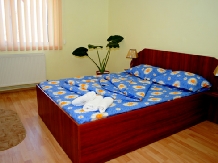 Pensiunea DiaDis - accommodation in  Transylvania (06)