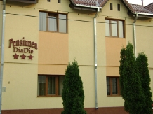 Pensiunea DiaDis - accommodation in  Transylvania (13)