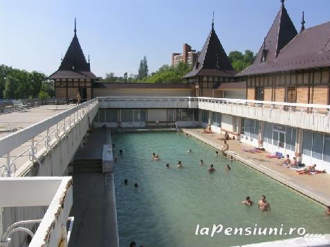 Pensiunea Verde - cazare Baile Felix (Activitati si imprejurimi) Pensiunea Verde - cazare Baile Felix (Activitati si imprejurimi)