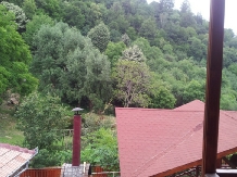 Pensiunea Piatra Mare - alloggio in  Valea Buzaului (16)