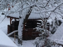 Pensiunea Piatra Mare - alloggio in  Valea Buzaului (19)