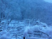 Pensiunea Piatra Mare - alloggio in  Valea Buzaului (20)