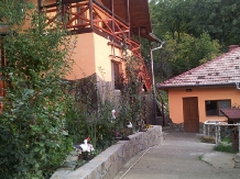 Pensiunea Piatra Mare - accommodation in  Buzau Valley (21)