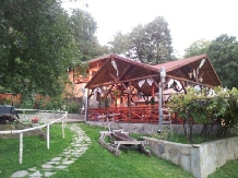 Pensiunea Piatra Mare - alloggio in  Valea Buzaului (23)