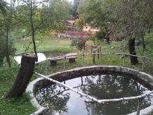 Pensiunea Piatra Mare - accommodation in  Buzau Valley (25)