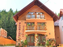 Pensiunea Agroturistica Gianina - accommodation in  Apuseni Mountains, Motilor Country, Arieseni (01)