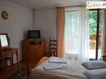 Pensiunea Agroturistica Gianina - accommodation in  Apuseni Mountains, Motilor Country, Arieseni (04)