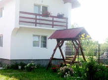 LapePensiunea Ioana Lavita - accommodation in  Maramures Country (10)