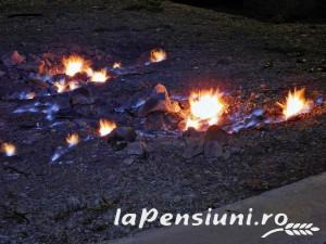 Pensiunea Olga - alloggio in  Valea Buzaului (Attivit&agrave; e i dintorni)