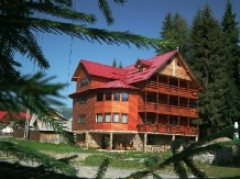 Casa Binu - accommodation in  Apuseni Mountains, Motilor Country, Arieseni (07)